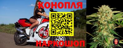 стаф Нягань